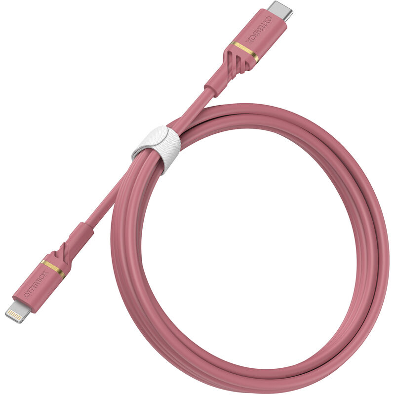 product image 2 - Lightning -naar-USB-C (1m) Fast Charge Kabel | Middensegment